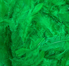 Перья, Изумрудный, 10-12 см, 30 шт.